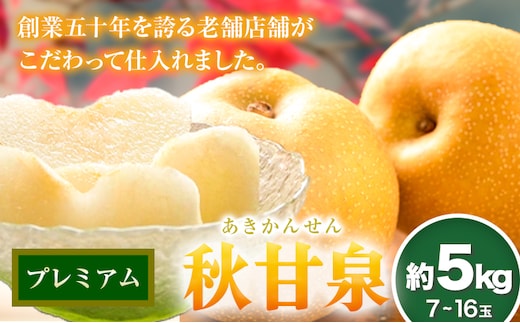【2026年先行予約】プレミアム 秋甘泉 約5kg (7~16玉) 高間商店《2026年8月下旬-10月上旬頃出荷》鳥取県 八頭町 梨 なし ナシ 果物 フルーツ プレミアム 果汁 ふるさと納税 秋甘泉梨 果実 甘い 高間商店 オリジナル品種---yazu_tkm_105_5---