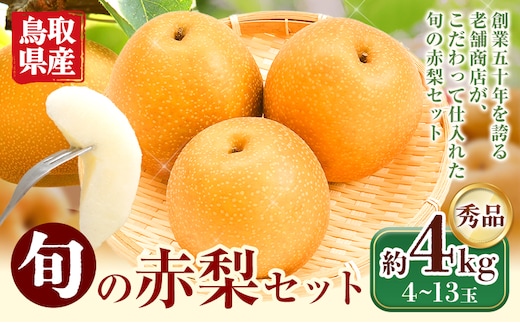 【2026年先行予約】旬 の 赤梨 セット 約4kg (4~13玉) 《2026年8月下旬-2027年1月上旬頃出荷》 鳥取県 八頭町 梨 なし ナシ 果物 フルーツ 秀品 厳選 ふるさと納税 高間商店 幸水 豊水 秋栄梨 秋甘泉 新甘泉 新高梨 あたご梨 王秋梨 先行予約 フルーツセット---yazu_tkm_117_4---