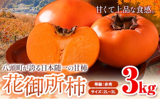 柿 八頭町が誇る 日本随一の 甘柿 花御所柿 贈答用 3kg Tottori食のまごころ農園 《12月上旬-12月下旬頃出荷》鳥取県 八頭町 柿 かき カキ 花御所柿 甘柿 果物 フルーツ---yazu_tmn_2_3kg---