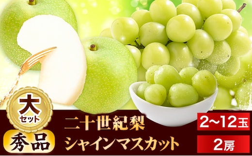 【2026年先行予約】シャインマスカット と 二十世紀梨 の セット (大) 《2026年8月下旬-10月中旬頃出荷予定》鳥取県 八頭町 梨 なし ナシ マスカット 果物 フルーツ 秀品 厳選 甘い 果汁 果実 ふるさと納税 シャインマスカット 送料無料 二十世紀梨---yazu_tkm_152_b---