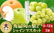 【2026年先行予約】梨 なし シャインマスカット と 旬 の 梨 セット (大) 高間商店《2026年8月下旬-10月中旬頃出荷》 鳥取県 八頭町 果物 くだもの フルーツ マスカット ナシ ぶどう ブドウ---yazu_tkm_154_b---