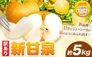 【訳あり】先行予約 新甘泉 約5kg 《2026年8月下旬-9月下旬頃出荷》新甘泉 梨 訳あり ご家庭用 鳥取県 八頭町 なし 果物 フルーツ 特産品 送料無料 果汁 デザート 八頭 梨 梨 梨 梨 梨 梨 梨 新甘梨 訳あり 新甘梨 新甘梨 新甘梨 新甘梨 新甘梨 新甘梨 新甘梨---yazu_zsy_75_5kg---