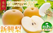 【2026年先行予約】秀品 新興梨 約5kg (5~16玉) 高間商店《2026年10月上旬-12月上旬頃出荷》鳥取県 八頭町　八頭 梨 なし ナシ 果物 フルーツ 秀品　高間商店　新興梨　ふるさと納税　甘い　果汁　果実　くだもの---yazu_tkm_113_5---