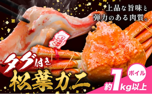 かに タグ付き 松葉ガニ 約1kg 以上 ボイル 《11月上旬-4月中旬頃出荷》お魚センターみくりや 鳥取県 八頭町 蟹 かに カニ 鍋 松葉ガニ ボイル 送料無料---yazu_mkr_7_1kgb---