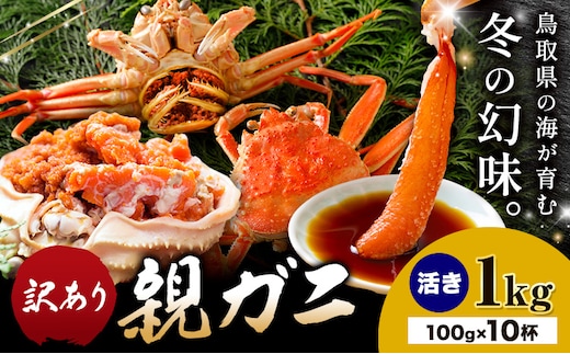 カニ 親ガニ 訳あり 1000g 1kg 活き 10杯 《12月上旬-12月末頃出荷》 SOO合同会社 鳥取県 八頭町 送料無料 蟹 かに 姿 鍋 訳アリ---yazu_soo_171_100g---