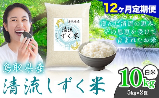 【12ヶ月定期便】鳥取 ふるさと 白米 10kg 清流しずく米《お申し込み月の翌月から出荷開始》鳥取県 八頭町 米 お米 ご飯 八頭 ふるさと無洗米 生活応援 ブレンド米 複数原料米 訳あり 小分け kome ご飯---yazu_zsy_475_10kg_h---