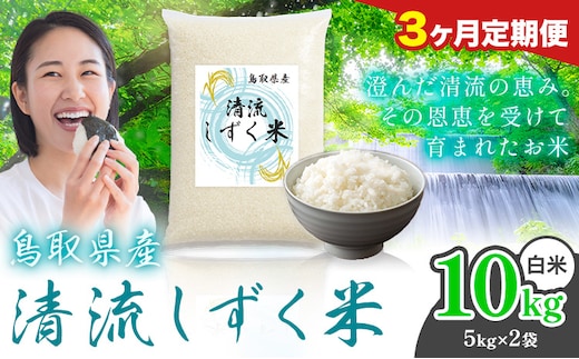 【3ヶ月定期便】鳥取 ふるさと 白米 10kg 清流しずく米《お申し込み月の翌月から出荷開始》鳥取県 八頭町 米 お米 ご飯 八頭 ふるさと無洗米 生活応援 ブレンド米 複数原料米 訳あり 小分け kome ご飯---yazu_zsy_469_10kg_h---