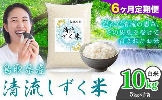 【6ヶ月定期便】鳥取 ふるさと 白米 10kg 清流しずく米《お申し込み月の翌月から出荷開始》鳥取県 八頭町 米 お米 ご飯 八頭 ふるさと無洗米 生活応援 ブレンド米 複数原料米 訳あり 小分け kome ご飯---yazu_zsy_472_10kg_h---
