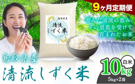【9ヶ月定期便】鳥取 ふるさと 白米 10kg 清流しずく米《お申し込み月の翌月から出荷開始》鳥取県 八頭町 米 お米 ご飯 八頭 ふるさと無洗米 生活応援 ブレンド米 複数原料米 訳あり 小分け kome ご飯---yazu_zsy_291_10kg_h_tei---