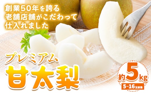 【2026年先行予約】プレミアム 甘太梨 約5kg 5-16玉 高間商店《2026年9月下旬-11月上旬頃出荷》 鳥取県 八頭町 梨 なし ナシ 果物 フルーツ 先行予約 ふるさと納税 送料無料 甘い 果実 果汁 デザート---yazu_tkm_91_5---
