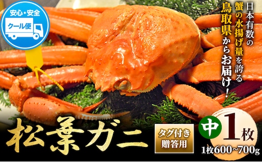 ＼12/23決済完了分まで年内配送／【配送不可地域あり】カニ 松葉ガニ タグ付き 贈答用 中サイズ(600g～700g)1枚《2025年11月中旬-2026年3月中旬出荷予定》鳥取県 八頭町 送料無料 蟹 かに 海鮮 松葉ガニ 贈答 タグ付 冷蔵---yazu_zsy2_48_1m---