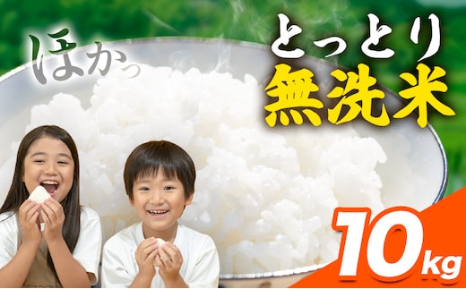とっとり無洗米 10kg《2025年11月中旬-12月末頃出荷》鳥取県 八頭町 米 お米 白米 ご飯 八頭 ふるさと無洗米---yazu_zsy_92_10kg---