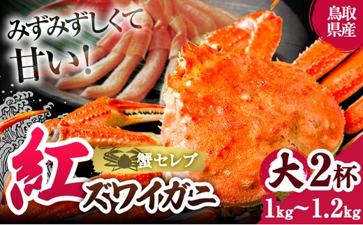 蟹 蟹セレブ 紅ズワイガニ サイズ 大2杯セット（500～600g×2） giverichホールディングス《10月上旬-5月下旬頃出荷》鳥取県 八頭町 蟹 かに カニ 紅ズワイガニ 紅ズワイ 送料無料---yazu_giv2_341_---