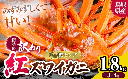 蟹 訳あり 蟹セレブ 紅ズワイガニ 箱詰め 1.8kg（3～4杯） giverichホールディングス《10月上旬-5月下旬頃出荷》鳥取県 八頭町 蟹 かに カニ 紅ズワイガニ 紅ズワイ 訳あり 送料無料---yazu_giv2_342_3_4h---