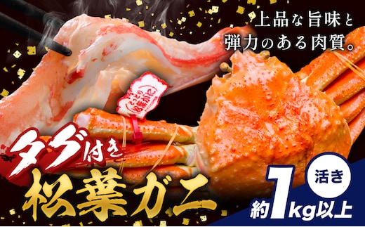 かに タグ付き 松葉ガニ 約1kg 以上 活き 《11月上旬-4月中旬頃出荷》お魚センターみくりや 鳥取県 八頭町 蟹 かに カニ 鍋 松葉ガニ 送料無料---yazu_mkr_5_1kg---