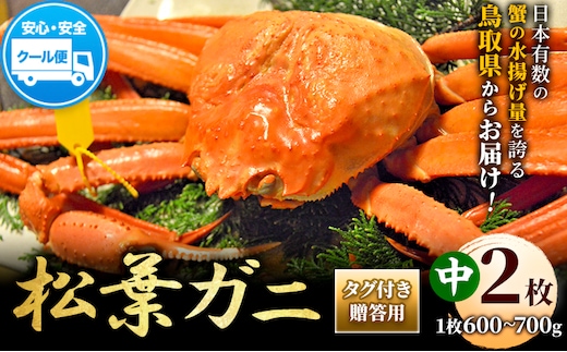 【配送不可地域あり】カニ 松葉ガニ タグ付き 贈答用 中サイズ(600g～700g)2枚《2025年11月中旬-2026年3月中旬出荷予定》鳥取県 八頭町 送料無料 蟹 かに 海鮮 松葉ガニ 贈答 タグ付 冷蔵---yazu_zsy2_49_2m---