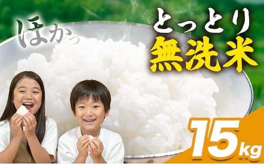 とっとり無洗米 15kg《2025年11月中旬-12月末頃出荷》鳥取県 八頭町 米 お米 白米 ご飯 八頭 ふるさと無洗米---yazu_zsy_93_15kg---
