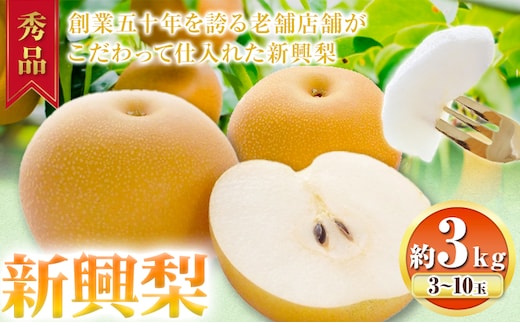 【2026年先行予約】秀品 新興梨 約3kg (3～10玉) 高間商店《2026年10月上旬-12月上旬頃出荷》鳥取県 八頭町 梨 なし ナシ 果物 フルーツ 秀品 高間商店 新興梨 ふるさと納税 甘い 果汁 果実 くだもの---yazu_tkm_90_3---