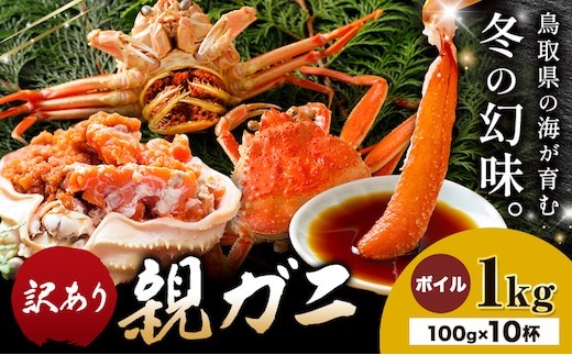 カニ 親ガニ 訳あり 1000g 1kg ボイル 10杯 《12月上旬-12月末頃出荷》 SOO合同会社 鳥取県 八頭町 送料無料 蟹 かに 姿 鍋 訳アリ---yazu_soo_172_100g---