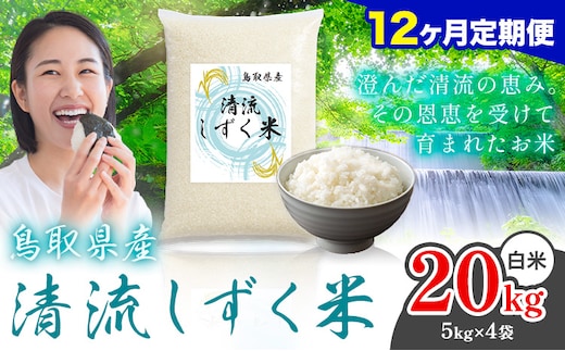 【12ヶ月定期便】鳥取 ふるさと 白米 20kg 清流しずく米《お申し込み月の翌月から出荷開始》鳥取県 八頭町 米 お米 ご飯 八頭 ふるさと無洗米 生活応援 ブレンド米 複数原料米 訳あり 小分け kome ご飯---yazu_zsy_476_20kg_h---