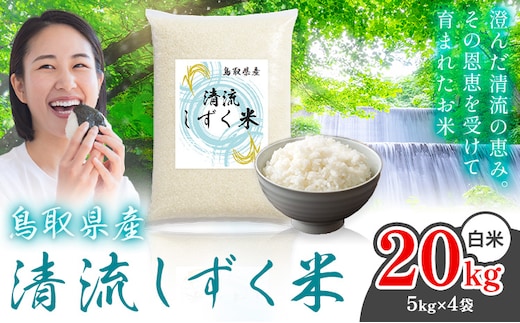 鳥取 ふるさと 白米 20kg 清流しずく米《1月上旬-2月末頃出荷》鳥取県 八頭町 米 お米 ご飯 八頭 ふるさと無洗米 生活応援 ブレンド米 複数原料米 訳あり 小分け kome ご飯---yazu_zsy_458_20kg_h---