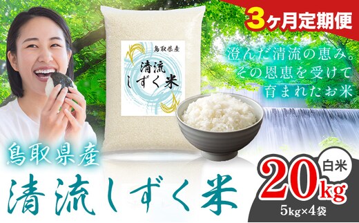 【3ヶ月定期便】鳥取 ふるさと 白米 20kg 清流しずく米《お申し込み月の翌月から出荷開始》鳥取県 八頭町 米 お米 ご飯 八頭 ふるさと無洗米 生活応援 ブレンド米 複数原料米 訳あり 小分け kome ご飯---yazu_zsy_470_20kg_h---