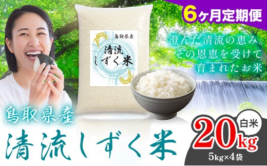 【6ヶ月定期便】鳥取 ふるさと 白米 20kg 清流しずく米《お申し込み月の翌月から出荷開始》鳥取県 八頭町 米 お米 ご飯 八頭 ふるさと無洗米 生活応援 ブレンド米 複数原料米 訳あり 小分け kome ご飯---yazu_zsy_473_20kg_h---