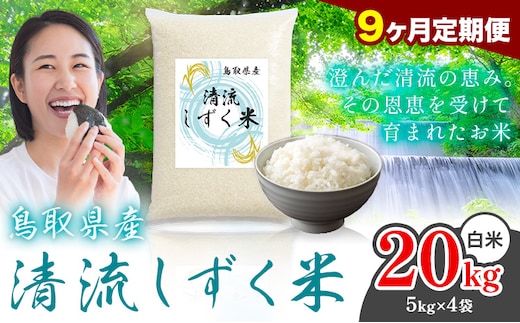 【9ヶ月定期便】鳥取 ふるさと 白米 20kg 清流しずく米《お申し込み月の翌月から出荷開始》鳥取県 八頭町 米 お米 ご飯 八頭 ふるさと無洗米 生活応援 ブレンド米 複数原料米 訳あり 小分け kome ご飯---yazu_zsy_293_20kg_h_tei---