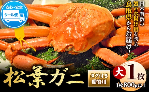 【配送不可地域あり】カニ 松葉ガニ タグ付き 贈答用 大サイズ(800g以上)1枚《2025年11月中旬-2026年3月中旬出荷予定》鳥取県 八頭町 送料無料 蟹 かに 海鮮 松葉ガニ 贈答 タグ付 冷蔵---yazu_zsy2_50_l---