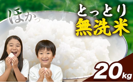 とっとり無洗米 20kg《2025年11月中旬-12月末頃出荷》鳥取県 八頭町 米 お米 白米 ご飯 八頭 ふるさと無洗米---yazu_zsy_94_20kg---