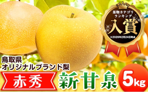 新甘泉 赤秀 約5kg JA鳥取いなば 先行予約《8月下旬‐9月上旬頃出荷》鳥取県 八頭町 梨 なし 果物 しんかんせん フルーツ ふるさと納税 送料無料 果実 果汁 常温便---yazu_jti_40_5kg---