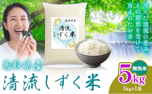 鳥取 ふるさと 無洗米 5kg 清流しずく米《1月上旬-2月末頃出荷》鳥取県 八頭町 米 お米 ご飯 八頭 ふるさと無洗米 生活応援 ブレンド米 複数原料米 訳あり 小分け kome ご飯---yazu_zsy_453_5kg_m---