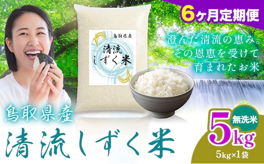 【6ヶ月定期便】鳥取 ふるさと 無洗米 5kg 清流しずく米《お申し込み月の翌月から出荷開始》鳥取県 八頭町 米 お米 ご飯 八頭 ふるさと無洗米 生活応援 ブレンド米 複数原料米 訳あり 小分け kome ご飯---yazu_zsy_462_5kg_m---