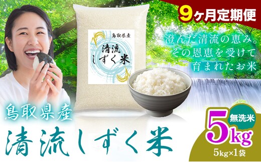 【9ヶ月定期便】鳥取 ふるさと 無洗米 5kg 清流しずく米《お申し込み月の翌月から出荷開始》鳥取県 八頭町 米 お米 ご飯 八頭 ふるさと無洗米 生活応援 ブレンド米 複数原料米 訳あり 小分け kome ご飯---yazu_zsy_314_5kg_m_tei---