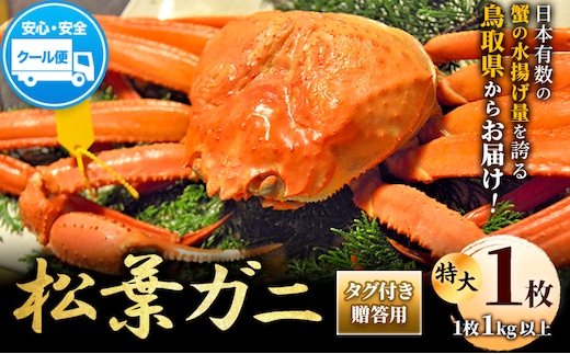 【配送不可地域あり】カニ 松葉ガニ タグ付き 贈答用 特大サイズ(1㎏以上)1枚《2025年11月中旬-2026年3月中旬出荷予定》鳥取県 八頭町 送料無料 蟹 かに 海鮮 松葉ガニ 贈答 タグ付 冷蔵---yazu_zsy2_51_xl---