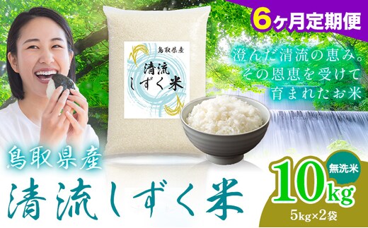 【6ヶ月定期便】鳥取 ふるさと 無洗米 10kg 清流しずく米《お申し込み月の翌月から出荷開始》鳥取県 八頭町 米 お米 ご飯 八頭 ふるさと無洗米 生活応援 ブレンド米 複数原料米 訳あり 小分け kome ご飯---yazu_zsy_463_10kg_m---