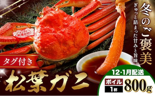 カニ 松葉ガニ 800g ボイル 1杯 《12月・1月発送》 SOO合同会社 鳥取県 八頭町 送料無料 蟹 かに 姿 鍋 ズワイガニ ズワイ蟹 ボイル 松葉ガニ---yazu_soo_180_800g---