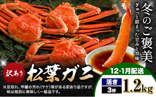 カニ 松葉ガニ 訳あり 400g 活き 3杯《12月・1月発送》 SOO合同会社 鳥取県 八頭町 送料無料 蟹 かに 姿 鍋 ズワイガニ ズワイ蟹 ボイル 松葉ガニ 訳アリ---yazu_soo_161_400g---