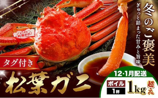 カニ 松葉ガニ 1kg超え ボイル 1杯 《12月・1月発送》 SOO合同会社 鳥取県 八頭町 送料無料 蟹 かに 姿 鍋 ズワイガニ ズワイ蟹 ボイル 松葉ガニ---yazu_soo_178_1kg---