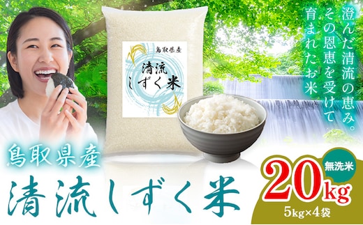 鳥取 ふるさと 無洗米 20kg 清流しずく米《1月上旬-2月末頃出荷》鳥取県 八頭町 米 お米 ご飯 八頭 ふるさと無洗米 生活応援 ブレンド米 複数原料米 訳あり 小分け kome ご飯---yazu_zsy_455_20kg_m---