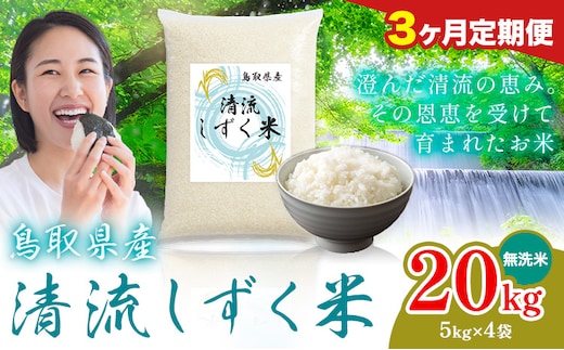 【3ヶ月定期便】鳥取 ふるさと 無洗米 20kg 清流しずく米《お申し込み月の翌月から出荷開始》鳥取県 八頭町 米 お米 ご飯 八頭 ふるさと無洗米 生活応援 ブレンド米 複数原料米 訳あり 小分け kome ご飯---yazu_zsy_461_20kg_m---