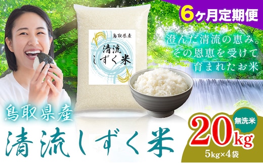 【6ヶ月定期便】鳥取 ふるさと 無洗米 20kg 清流しずく米《お申し込み月の翌月から出荷開始》鳥取県 八頭町 米 お米 ご飯 八頭 ふるさと無洗米 生活応援 ブレンド米 複数原料米 訳あり 小分け kome ご飯---yazu_zsy_464_20kg_m---