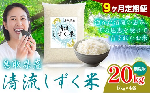 【9ヶ月定期便】鳥取 ふるさと 無洗米 20kg 清流しずく米《お申し込み月の翌月から出荷開始》鳥取県 八頭町 米 お米 ご飯 八頭 ふるさと無洗米 生活応援 ブレンド米 複数原料米 訳あり 小分け kome ご飯---yazu_zsy_317_20kg_m_tei---