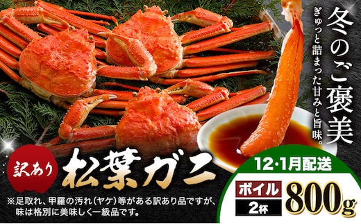 カニ 松葉ガニ 訳あり 400g ボイル 2杯《12月・1月発送》 SOO合同会社 鳥取県 八頭町 送料無料 蟹 かに 姿 鍋 ズワイガニ ズワイ蟹 ボイル 松葉ガニ 訳アリ---yazu_soo_160_400g---