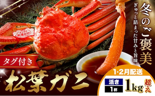 カニ 松葉ガニ 1kg超え 活き 1杯 《1月・2月発送》 SOO合同会社 鳥取県 八頭町 送料無料 蟹 かに 姿 鍋 ズワイガニ ズワイ蟹 ボイル 松葉ガニ---yazu_soo_181_400g---