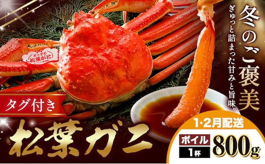 カニ 松葉ガニ 800g ボイル 1杯 《1月・2月発送》 SOO合同会社 鳥取県 八頭町 送料無料 蟹 かに 姿 鍋 ズワイガニ ズワイ蟹 ボイル 松葉ガニ---yazu_soo_184_400g---