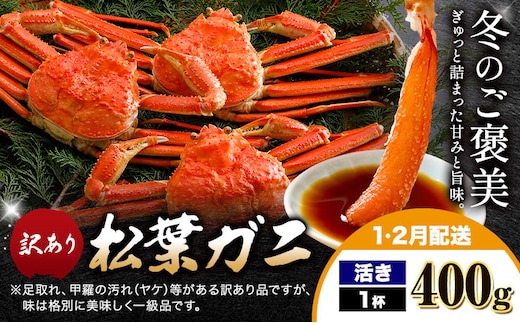カニ 松葉ガニ 訳あり 400g 活き 1杯《1月・2月発送》 SOO合同会社 鳥取県 八頭町 送料無料 蟹 かに 姿 鍋 ズワイガニ ズワイ蟹 ボイル 松葉ガニ 訳アリ---yazu_soo_163_400g---