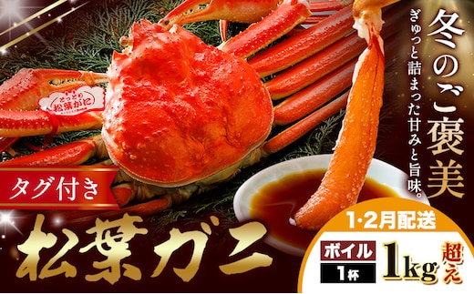 カニ 松葉ガニ 1kg超え ボイル 1杯 《1月・2月発送》 SOO合同会社 鳥取県 八頭町 送料無料 蟹 かに 姿 鍋 ズワイガニ ズワイ蟹 ボイル 松葉ガニ---yazu_soo_182_400g---