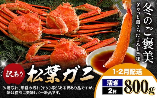 カニ 松葉ガニ 訳あり 400g 活き 2杯《1月・2月発送》 SOO合同会社 鳥取県 八頭町 送料無料 蟹 かに 姿 鍋 ズワイガニ ズワイ蟹 ボイル 松葉ガニ 訳アリ---yazu_soo_165_400g---