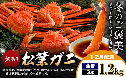カニ 松葉ガニ 訳あり 400g 活き 3杯《1月・2月発送》 SOO合同会社 鳥取県 八頭町 送料無料 蟹 かに 姿 鍋 ズワイガニ ズワイ蟹 ボイル 松葉ガニ 訳アリ---yazu_soo_167_400g---